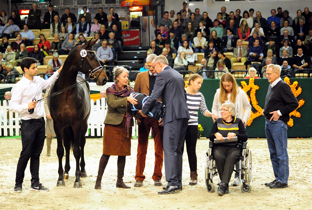 High Five - Trakehner Prämienhengst 2016 von Saint Cyr u.d. Hanna v. Summertime - Foto: Beate Langels -
Trakehner Gestüt Hämelschenburg