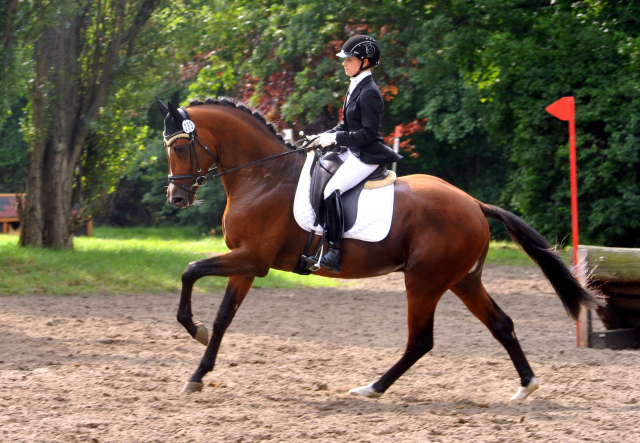 High Motion von Saint Cyr und Stephanie Leuenberger - Foto Beate Langels - Gestüt Hämelschenburg
