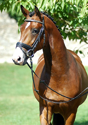 Trzguet von Freudenfest