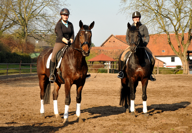  - Foto: Beate Langels - Trakehner Gestt Hmelschenburg