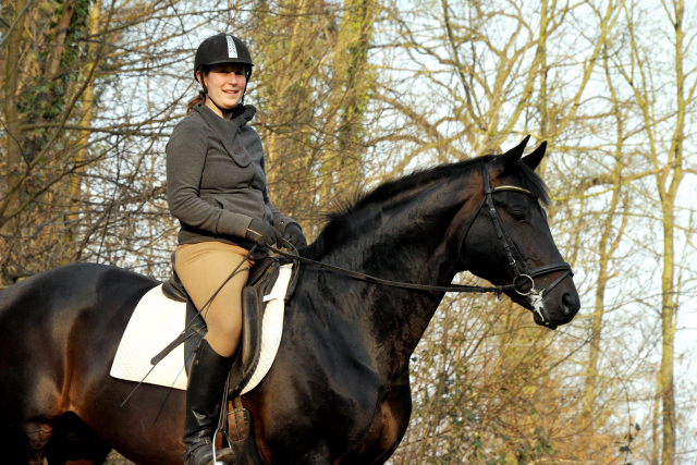 Oliver Twist und Sophie - Foto: Beate Langels - Trakehner Gestt Hmelschenburg