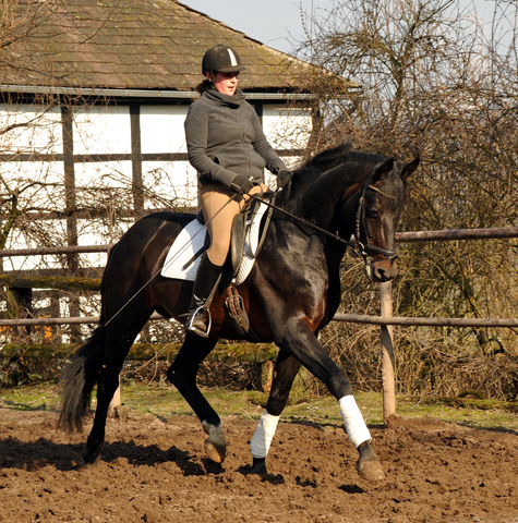 Oliver Twist und Sophie - Foto: Beate Langels - Trakehner Gestt Hmelschenburg