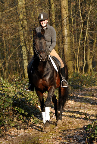 Oliver Twist und Sophie - Foto: Beate Langels - Trakehner Gestt Hmelschenburg