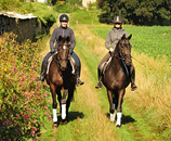 September 2019 - Impressionen - Trakehner Gestt Hmelschenburg 2019 - Foto: Beate Langels