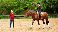 Impressionen vom Juli 2020 - Trakehner Gestt Hmelschenburg 2020 - Foto: Beate Langels