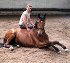 Juni 2019 - Impressionen - Trakehner Gestt Hmelschenburg 2019 - Foto: Beate Langels