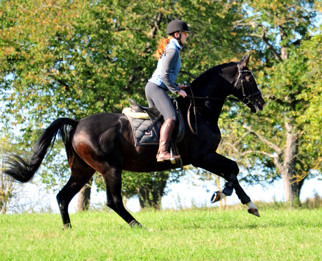 Impressionen vom Oktober 2021 - Trakehner Gestt Hmelschenburg  - Foto: Beate Langels