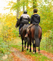 Oktober-Impressionen - Trakehner Gestt Hmelschenburg 2017 - Foto: Beate Langels