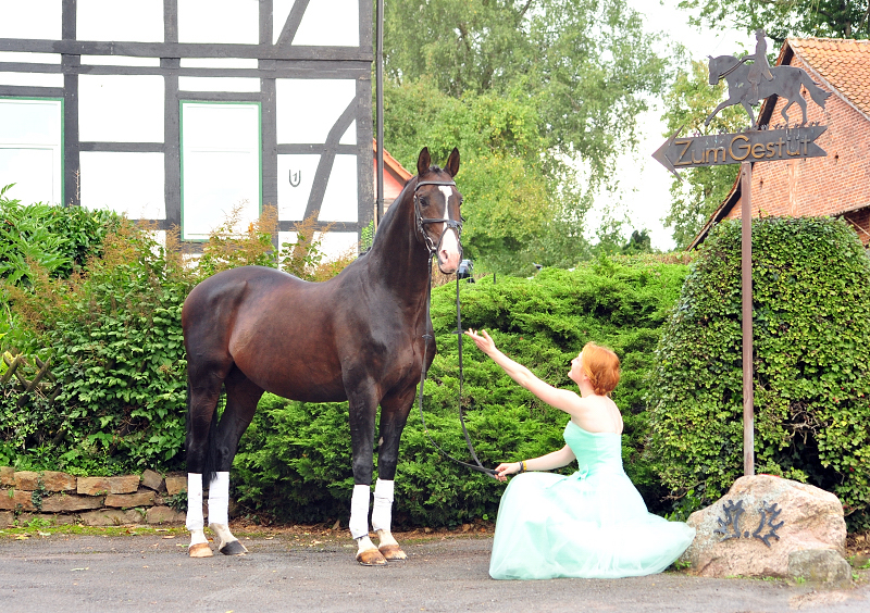 Prmienhengst Shavalou und Johanna - Trakehner Gestt Hmelschenburg - Foto: Beate Langels