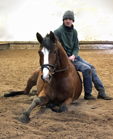 High Quality 2022 - Trakehner Gestt Hmelschenburg  - Foto: Beate Langels