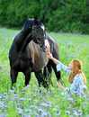 Juni 2019 - Impressionen - Trakehner Gestt Hmelschenburg 2019 - Foto: Beate Langels