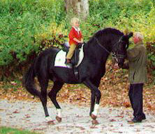 Kostolany - and the 3-years old Jan-Hendrik