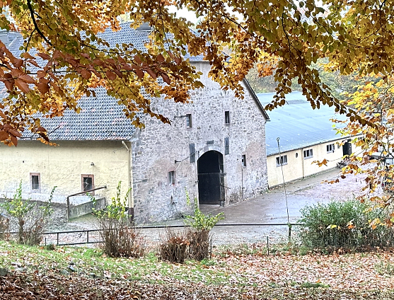 H�melschenburger Impressionen im November 2025 - Trakehner Gest�t H�melschenburg  - Foto: Beate Langels