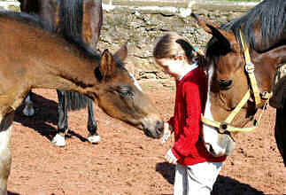Isabell with a filly by Enrico Caruso and Guendalina