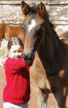 with a filly by Enrico Caruso