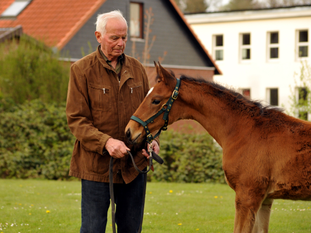 Stutfohlen von Honor du Soir u.d. Karena v. Freudenfest - 22. April 2016  - Foto: Beate Langels -
Trakehner Gestt Hmelschenburg