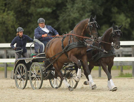 Geraldinio v. Summertime