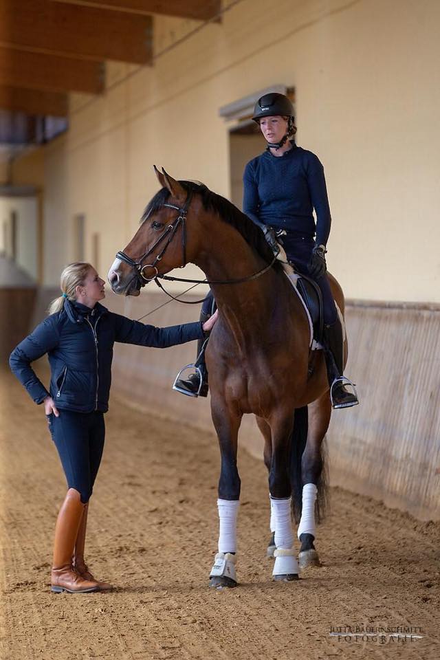 Kacyro von Saint Cyr - Trakehner Gestt Hmelschenburg - Foto: Jutta Bauernschmitt