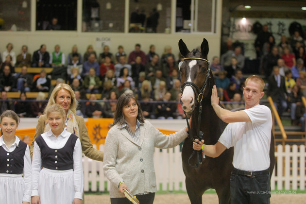 Trakehner Stallion Grand Corazn by Symont out of Pr.a.StPrSt. Guendalina by Red Patrick xx  - Trakehner Gestt Hmelschenburg - fotografiert von Jutta Bauernschmidt