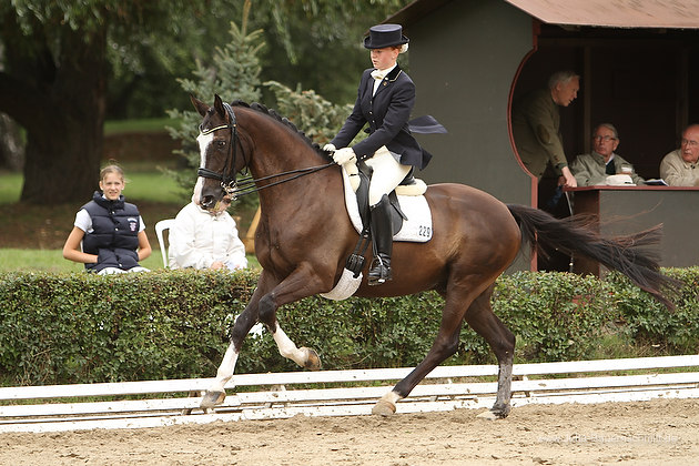 Kantaro von Exclusiv u.d. Pr.ST. Kleo's Beste v. Kostolany - Foto Jutta Bauernschmitt