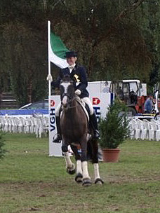 Kantaro von Exclusiv u.d. Pr.ST. Kleo's Beste v. Kostolany - Foto Jutta Bauernschmitt