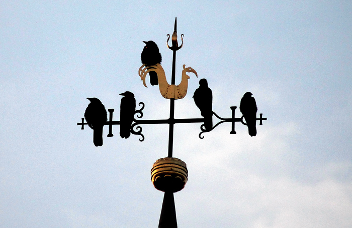 Der Hmelschenburger Kirchturm  - Foto: Johanna Kraus
 - Gestt Hmelschenburg - Beate Langels