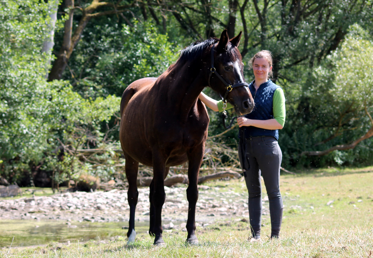 Elitestute Schwalbenfeder und Pia  - Foto: Johanna Kraus
 - Gestt Hmelschenburg - Beate Langels