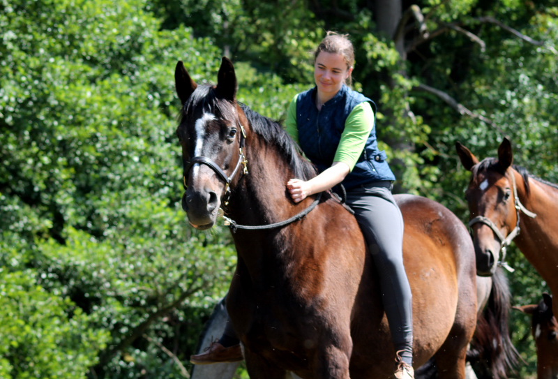 Elitestute Schwalbenfeder und Pia  - Foto: Johanna Kraus
 - Gestt Hmelschenburg - Beate Langels