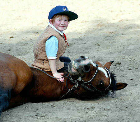 Johanna und der Trakehner Hengst Freudenfest