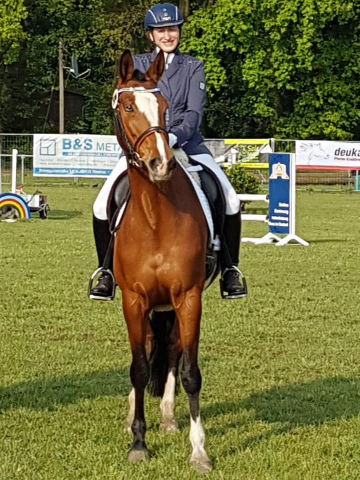 KLASSIC BLUE v. Singolo - Foto: privat - Trakehner Gestt Hmelschenburg