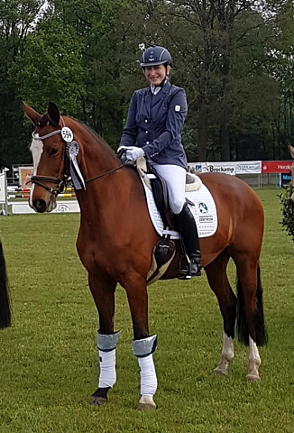 KLASSIC BLUE v. Singolo - Foto: privat - Trakehner Gestt Hmelschenburg