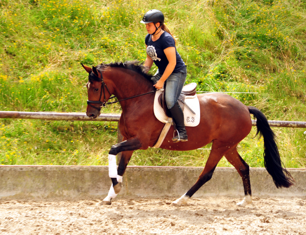 Karida von Oliver Twist u.d. Pr.u.StPrSt. Karena v. Freudenfest  - Foto: Beate Langels -  
Trakehner Gestt Hmelschenburg