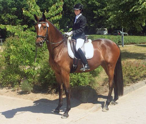 Sieger der Stutenleistungspr fung: Katniss Everdeen v. Saint Cyr - Gest t Sch plitz - copyright Bernhard Langels, Trakehner Gest t H melschenburg