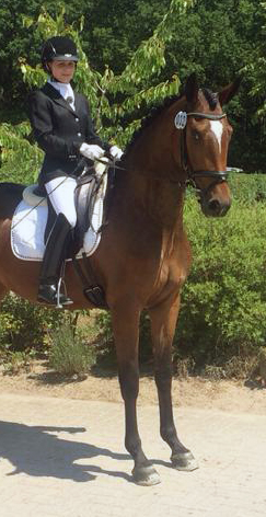 Sieger der Stutenleistungsprfung: Katniss Everdeen v. Saint Cyr - Gestt Schplitz - copyright Bernhard Langels, Trakehner Gestt Hmelschenburg