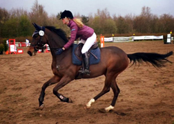 Kame von Summertime - Shavalou