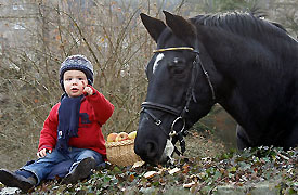 Jasper (1,5years old) and the 24years old Kostolany