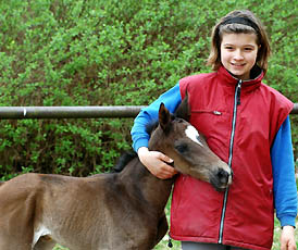 Trakehner Filly by Kostolany out of Schwalbenfeder by Summertime