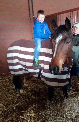 Karmina von Singolo u.d. Pr. u. StPrSt. Klassic v. Freudenfest u.d. Elitestute Kassuben v. Enrico Caruso - Trakehner Gestt 
Hmelschenburg