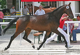 Kamee von Summertime - Benz