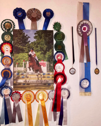 Kanditten  von Freudenfest u.d. Karalina v. Exclusiv - im Gestt Schplitz - Foto Beate Langels