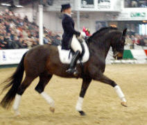 Trakehner Hengst Kapriolan F v. Exclusiv und Eva Zieglwalner bei der Auszeichnung mit dem Goldenen Reitabzeichen