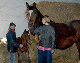 Colt by Exclusiv out of Kassuben by Enrico Caruso