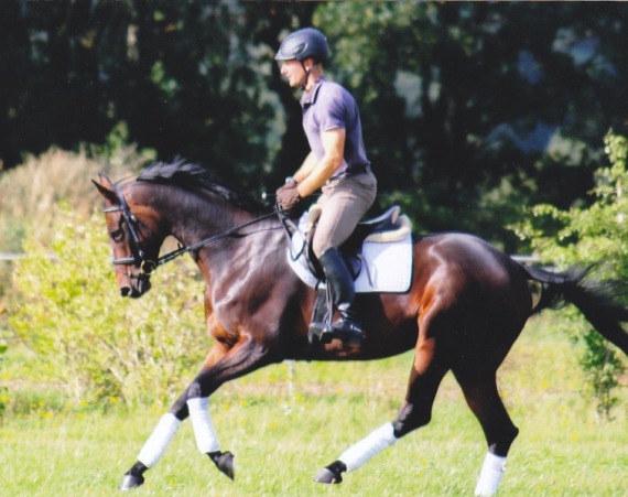 Trakehner Stute von Summertime u.d. Kadina v. Kostolany - Trakehner Gestt Hmelschenburg