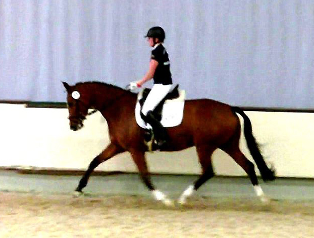 Pr.u.StPrSt. KLASSIC BLUE v. Singolo - Foto: privat