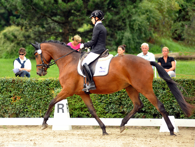 Katniss Everdeen v. Saint Cyr - Gestt Schplitz - copyright Beate Langels, Trakehner Gestt Hmelschenburg