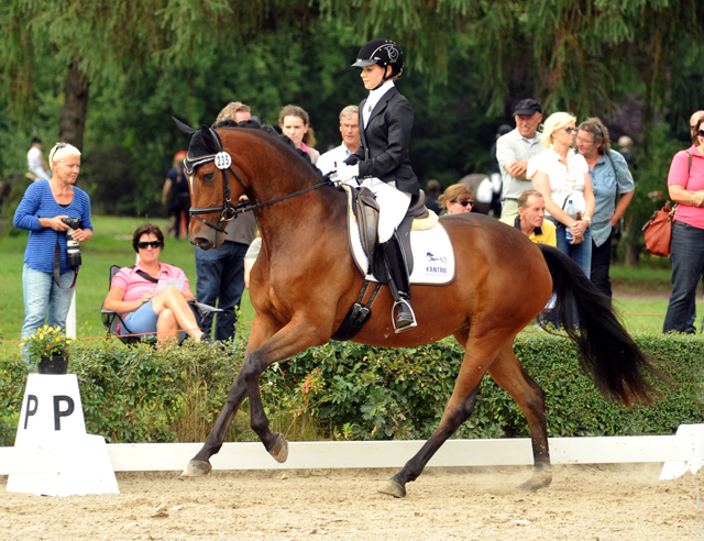 Sieger der Stutenleistungsprfung: Katniss Everdeen v. Saint Cyr - Gestt Schplitz - copyright Bernhard Langels, Trakehner Gestt Hmelschenburg