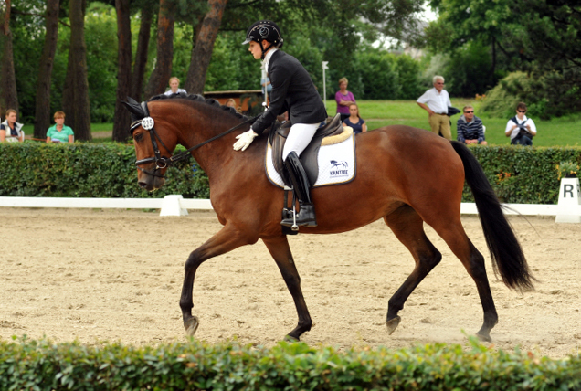 Sieger der Stutenleistungsprfung: Katniss Everdeen v. Saint Cyr - Gestt Schplitz - copyright Bernhard Langels, Trakehner Gestt Hmelschenburg