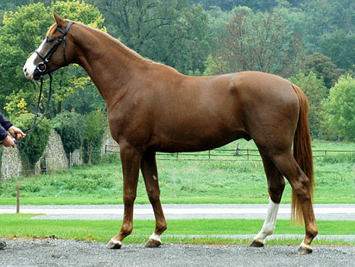 Kim Kinvahan v. Tabaluga u.d. Killarney v. Tuareg, Foto: Beate Langels