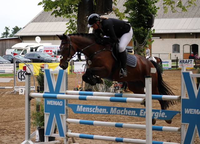 Klose von Shavalou u.d. Kida v. Schampus u.d. Pr.St. Kassis von Kostolany, Zchter: Bernhard Langels