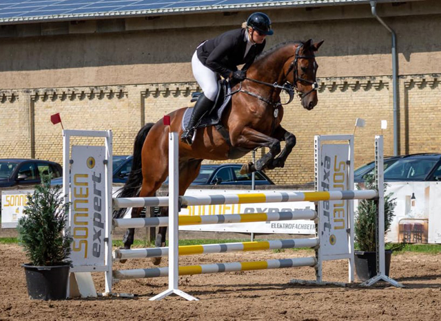 Klose von Shavalou u.d. Kida v. Schampus u.d. Pr.St. Kassis von Kostolany, Zchter: Bernhard Langels